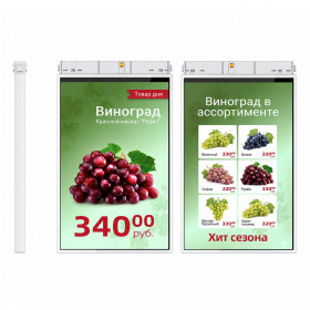 TFT-дисплей MERTECH HL101 Dual 10,1″ White TFT-дисплей MERTECH HL101 Dual 10,1″ White