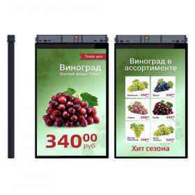 TFT-дисплей MERTECH HL101 Dual 10,1″ TFT-дисплей MERTECH HL101 Dual 10,1″